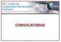 Oficina Central de Cooperación Internacional y Convenios: Convocatorias