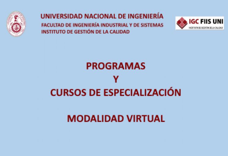 Programas y Cursos de Especialización - Modalidad Virtual que ofrece el INSTITUTO DE GESTION DE LA CALIDAD - FIIS